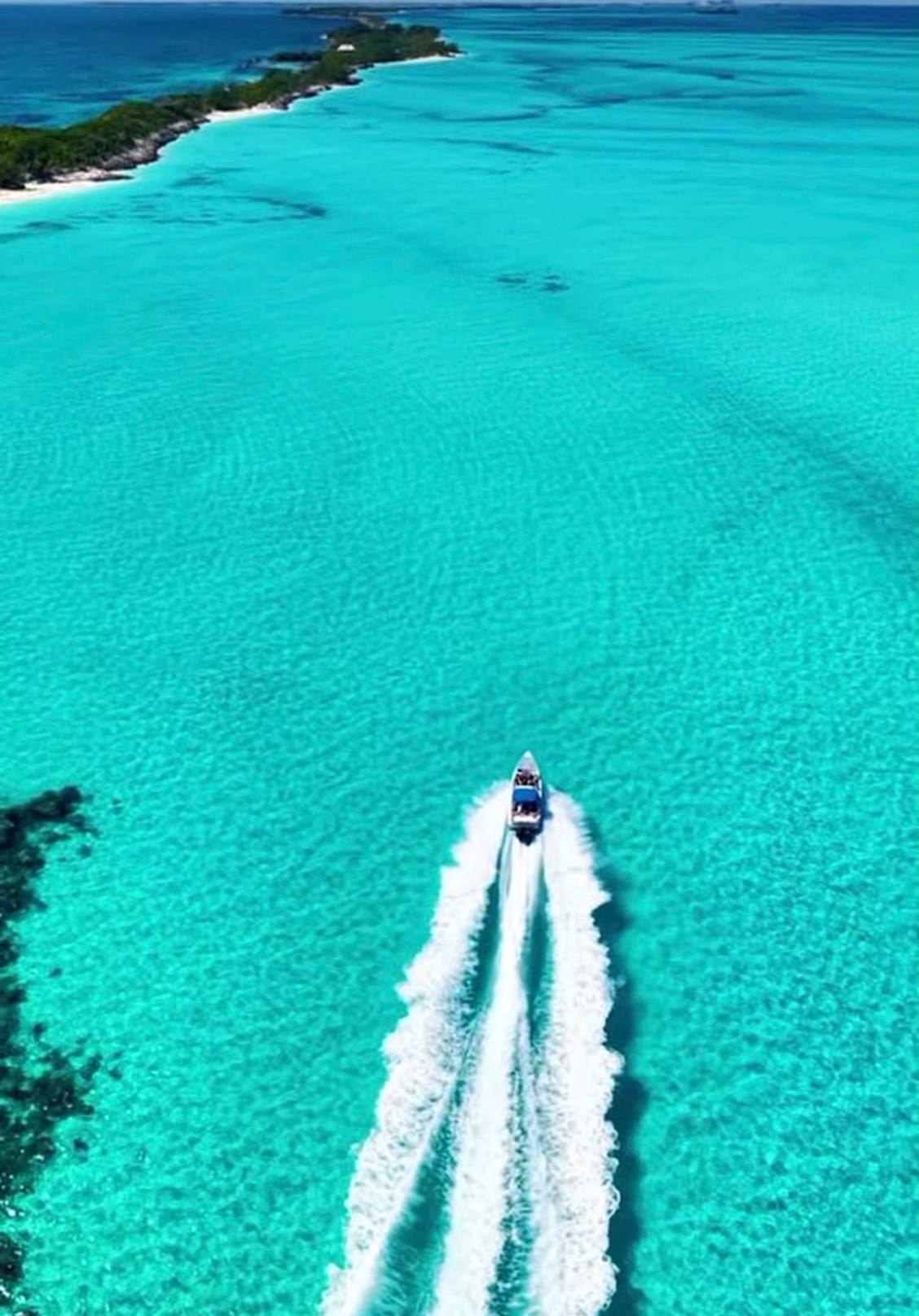 Aerial view of a tour boat speeding across turquoise shallows toward Rose Island, leaving a long white wake